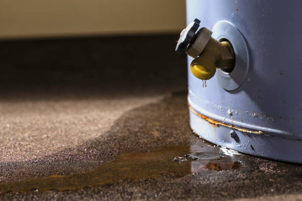 Best Water damage contractors near me  in Belgium, WI