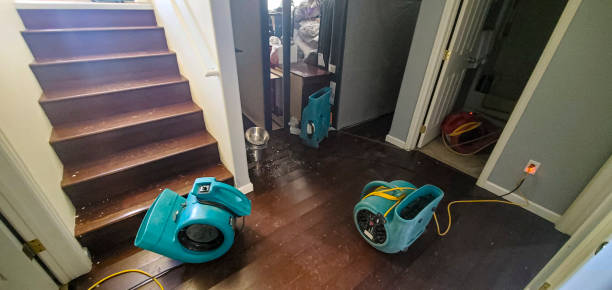 Best 24/7 water damage repair  in Belgium, WI